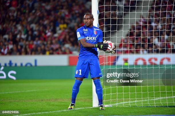 Vincent ENYEAMA - - Lille / Bastia - 8eme journee de Ligue 1 , Photo : Dave Winter / Icon Sport