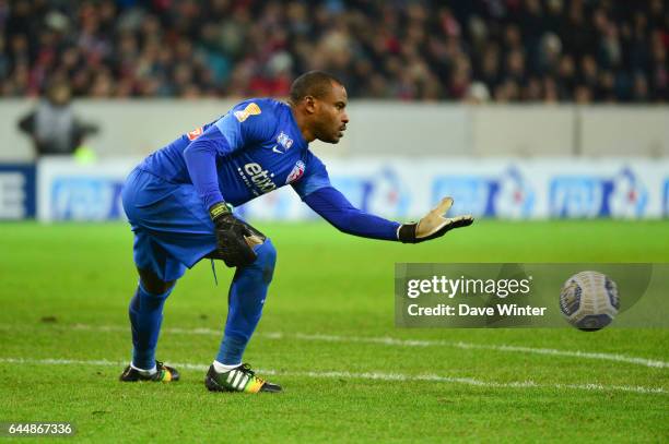 Vincent ENYEAMA - - Lille / Paris Saint Germain - 1/2Finale Coupe de la Ligue, Photo : Dave Winter / Icon Sport