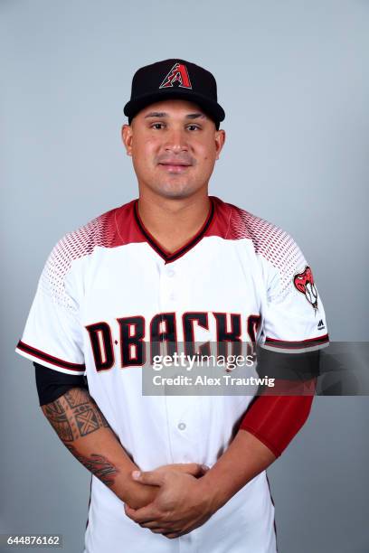 Oswaldo Arcia of the Arizona Diamondbacks poses during Photo Day on Tuesday, February 21, 2017 at Salt River Fields at Talking Stick in Scottsdale,...