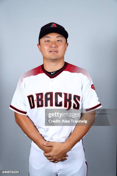 Hank Conger of the Arizona Diamondbacks poses during Photo Day on Tuesday, February 21, 2017 at Salt River Fields at Talking Stick in Scottsdale,...