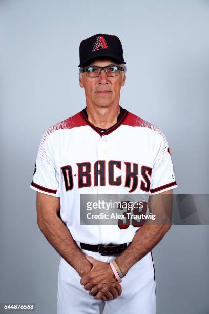 Dave McKay of the Arizona Diamondbacks poses during Photo Day on Tuesday, February 21, 2017 at Salt River Fields at Talking Stick in Scottsdale,...