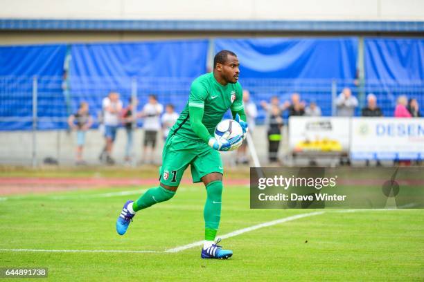 Vincent ENYEAMA - - Troyes / Lille - Match amical -Cambrai, Photo : Dave Winter / Icon Sport