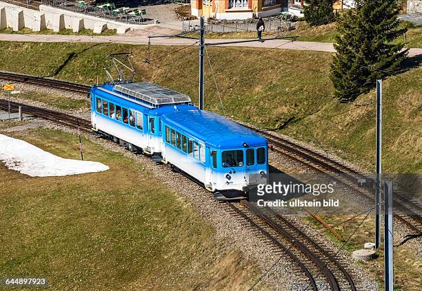 Rigi train, run by Rigi Railways, going up Mt.Rigi , Vitznau, Switzerland