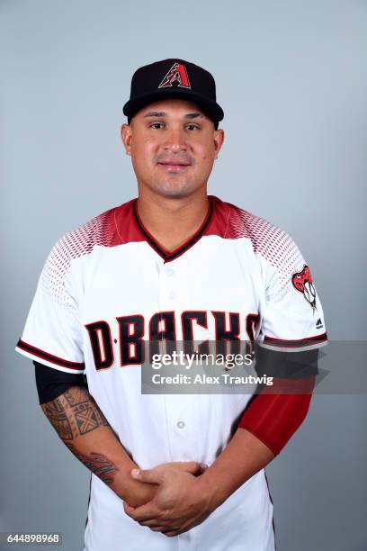 Oswaldo Arcia of the Arizona Diamondbacks poses during Photo Day on Tuesday, February 21, 2017 at Salt River Fields at Talking Stick in Scottsdale,...