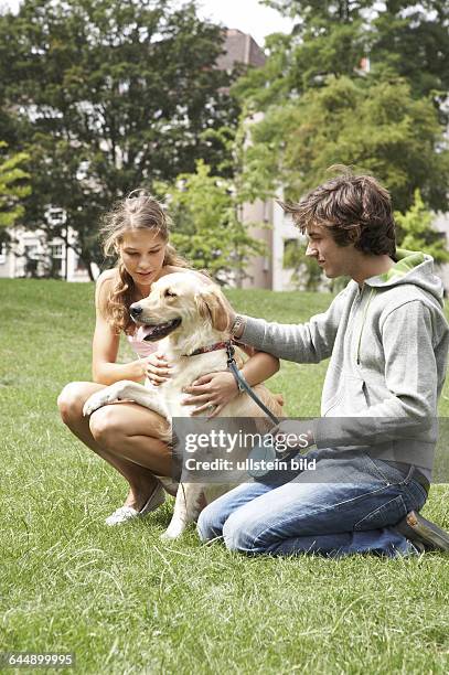 Junges Paar mit Hund im Park, young couple and a dog in the park