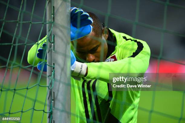 Vincent ENYEAMA - - Lille / Saint Etienne - 16eme journee de Ligue 1, Photo: Dave Winter / Icon Sport