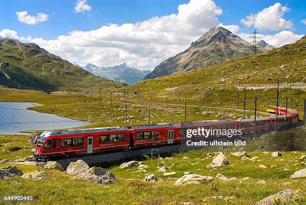 Zug der Rhaetischen Bahn am Lago Bianco am Bernina Pass in den schweizer Alpen, Schweiz.Alpine train at Lago Bianco at the Bernina Pass in the Swiss...