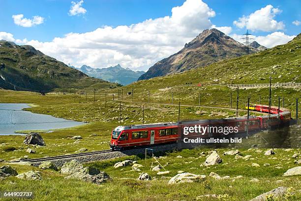 Zug der Rhaetischen Bahn am Lago Bianco am Bernina Pass in den schweizer Alpen, Schweiz.Alpine train at Lago Bianco at the Bernina Pass in the Swiss...