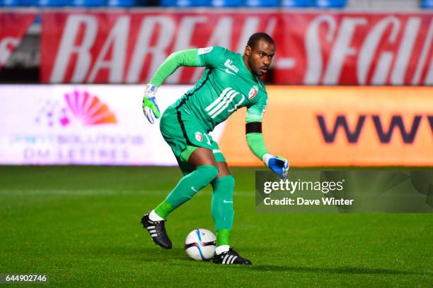 Vincent ENYEAMA - - Troyes / Lille - 14eme journee de Ligue 1, Photo: Dave Winter / Icon Sport