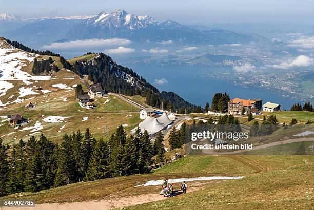 Rigi train, run by Rigi Railways, going up Mt.Rigi , Vitznau, Switzerland