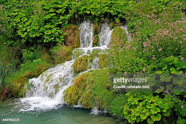Kaskade eines Wasserfalls im Nationalpark Plitvicer Seen / Nacionalni park Plitvicka jezera oder Plitvice, Kroatien