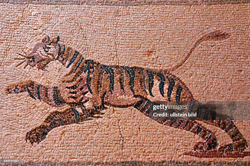 Mosaic in the archaeological park of Paphos