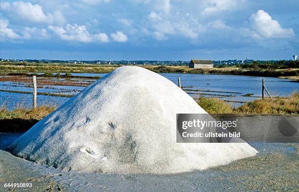 Salzgaerten bei Batz-sur-Mer auf der Halbinsel von Guerande in der Bretagne, die das beruehmte Guerande-Salz liefern, besonders reich an...