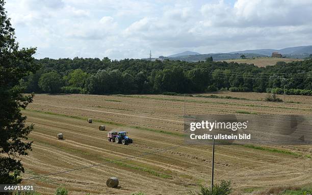47 Casino Di Terra Stock Photos, HighRes Pictures, and Images Getty