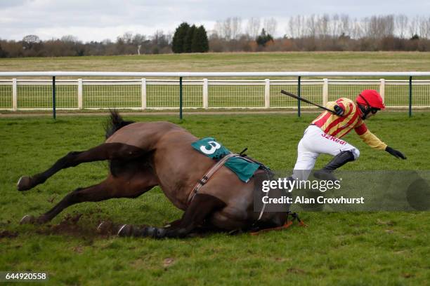 Paddy Brennan riding Global Stage fall at the last at Warwick Racecourse on February 24, 2017 in Warwick, England.