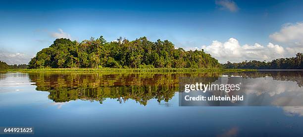 Sungai Menaggul, a tributari to Kinabatangan River, Sabah, Borneo.