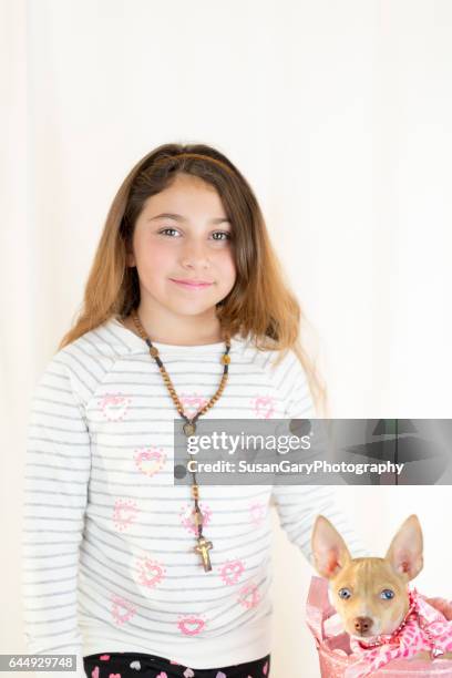 valentine's day girl and chihuahua puppy - hazel bond fotografías e imágenes de stock