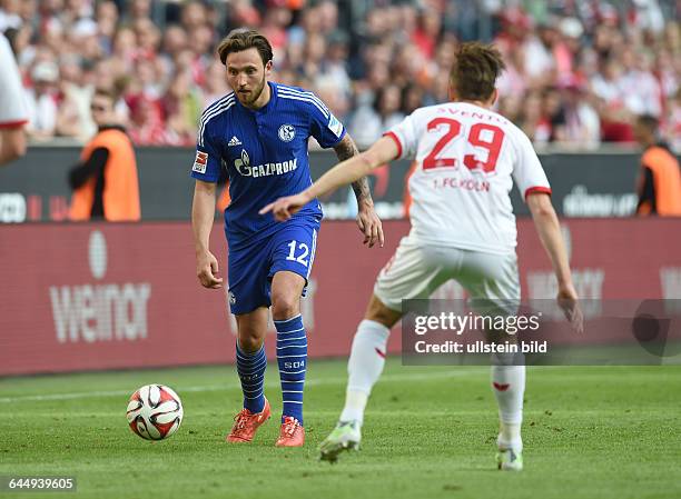 Fussball, Saison 2014/15, 1. Bundesliga, 32. Spieltag,1. FC Köln - FC Schalke 04 2:0Marco Hoeger, Marco Höger , li., gegen Dusan Svento