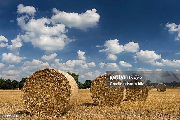 Heuernte; Rundballen vor Wolkenhimmel, Niedersachsen,