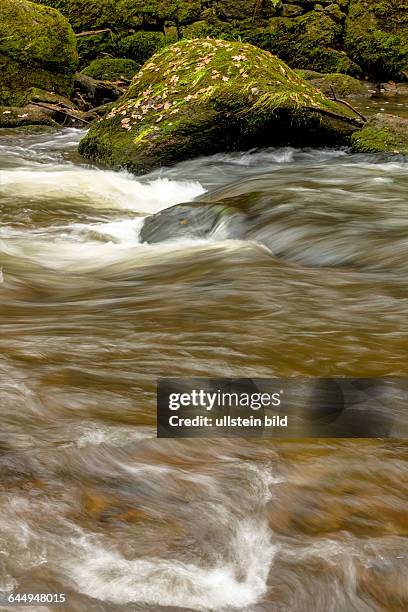 Ein Fels mit Blättern im Herbst in einem Bach