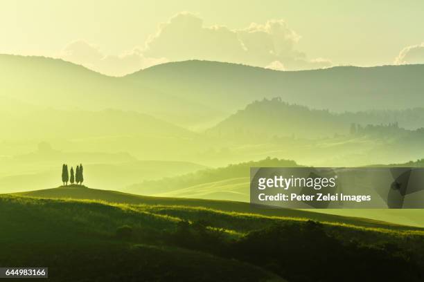 the hills of tuscany at sunrise - rolling landscape stock pictures, royalty-free photos & images