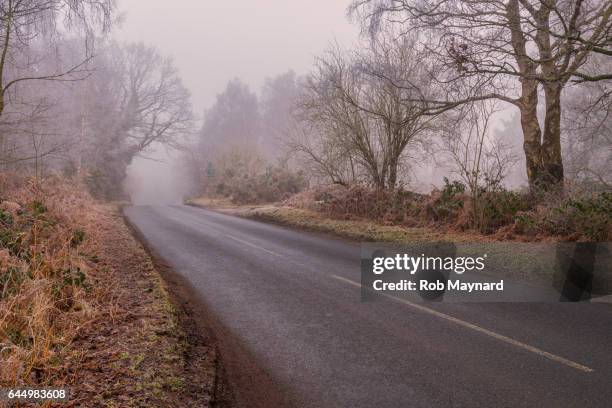 fog road - midhurst fotografías e imágenes de stock