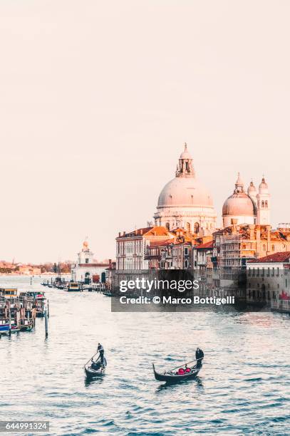 gondolas on the grand canal. venice, italy. - punta della dogana stockfoto's en -beelden