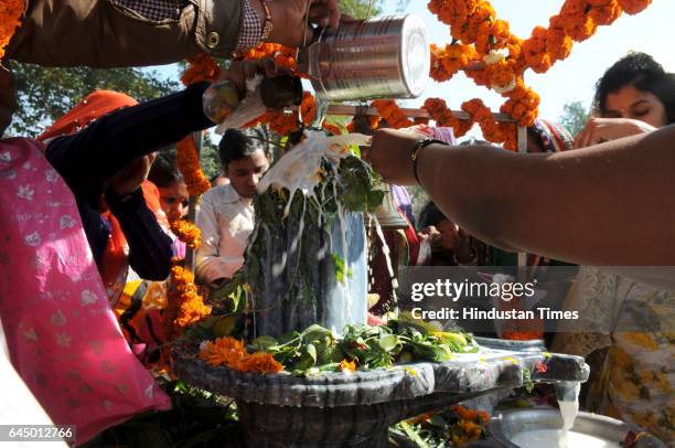 Devotees offering the pure milk, honey, Gangajal, curd and coconut water on Shivling on the Maha Shivaratri festival at Shiv Murti Rangpuri, on...