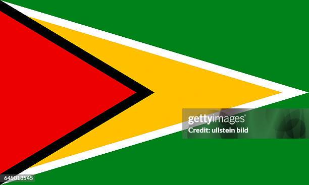 National flag of the Republic of Guyana.