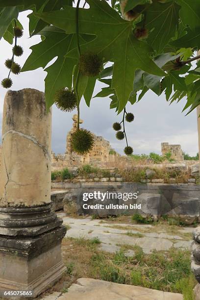 Aphrodisias war eine antike Stadt in der Landschaft Karien im Südwesten der Türkei beim heutigen Ort Geyre. Ihr Name leitet sich vom Aphrodite-Kult...