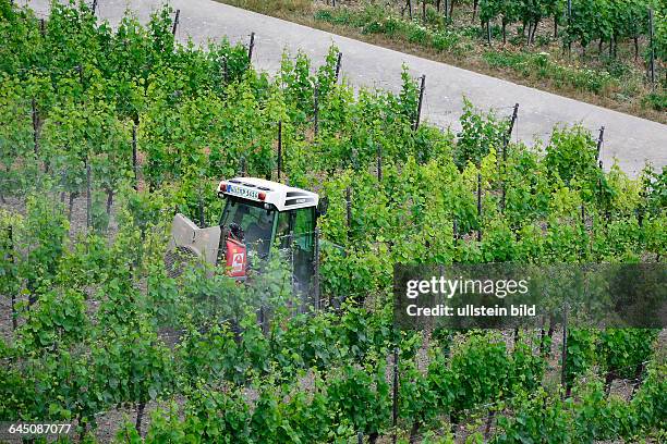 Traktor im Weinberg am Fuß der Festung Marienberg in Würzburg