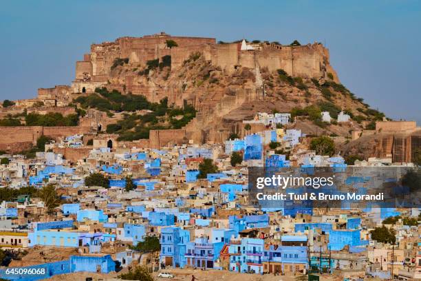 india, rajasthan, jodhpur, the blue city - meherangarh fort stock pictures, royalty-free photos & images