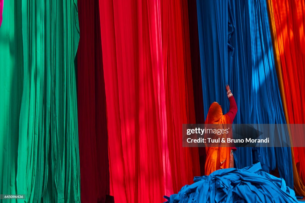 India, Rajasthan, Sari Factory