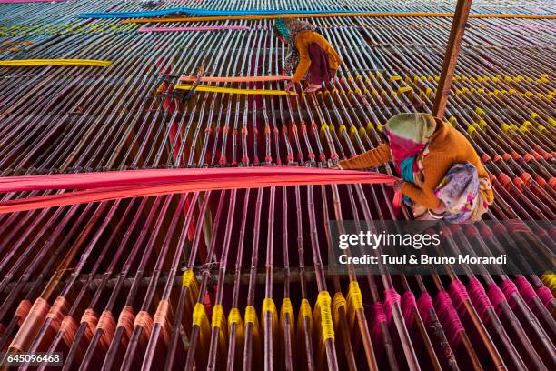 india, rajasthan, sari factory - bamboo plant imagens e fotografias de stock