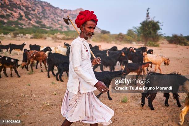 india, rajasthan, rabari village - kurta stock pictures, royalty-free photos & images