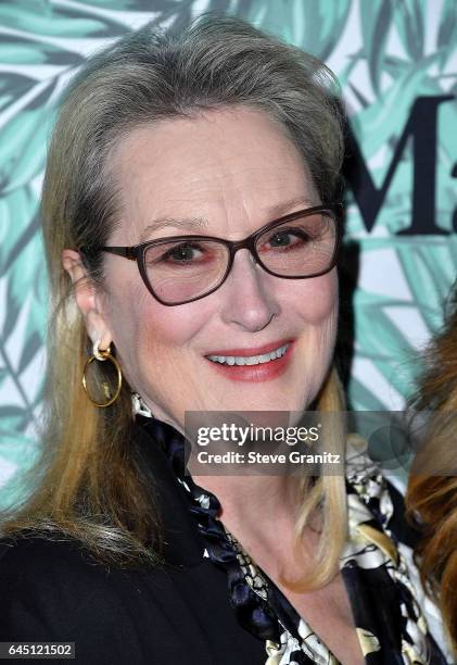 Meryl Streep arrives at the 10th Annual Women In Film Pre-Oscar Cocktail Party at Nightingale Plaza on February 24, 2017 in Los Angeles, California.
