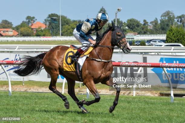 Exospheric ridden by Damien Oliver heads to the barrier before the Crown Lager Peter Young Stakes at Caulfield Racecourse on February 25, 2017 in...