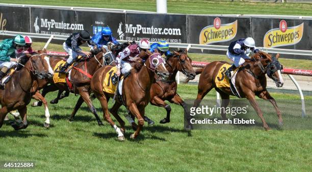 Stratum Star ridden by Mark Zahra wins the Crown Lager Peter Young Stakes at Caulfield Racecourse on February 25, 2017 in Caulfield, Australia.