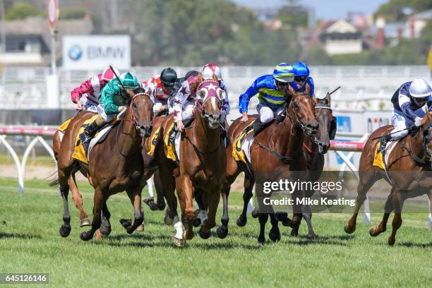 Stratum Star ridden by Mark Zahra wins the Crown Lager Peter Young Stakes at Caulfield Racecourse on February 25, 2017 in Caulfield, Australia.