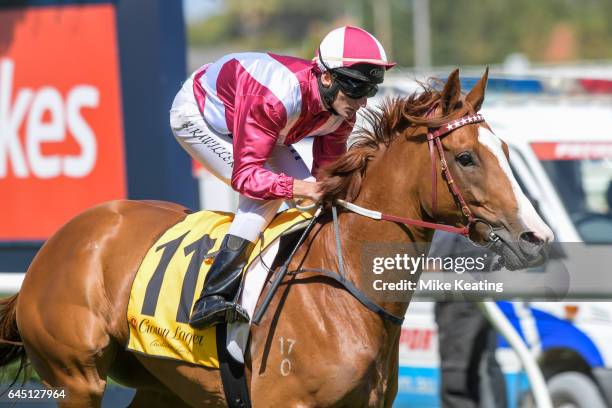 Real Love ridden by Brad Rawiller heads to the barrier before the Crown Lager Peter Young Stakes at Caulfield Racecourse on February 25, 2017 in...