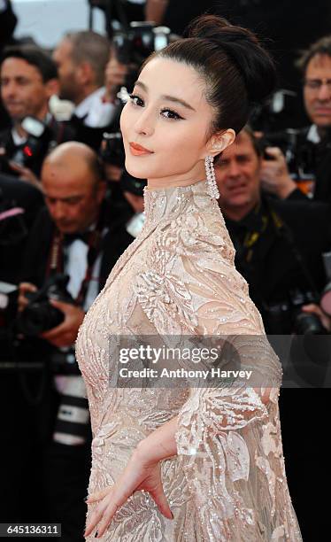 Fan Bingbing attends the De Rouille Et D'os Premiere at the Palais des Festivals during the 65th Cannes Film Festival May 17, 2012 in Cannes, France.