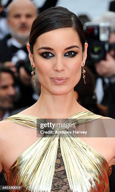 Berenice Marlohe attends the 'Vous N'avez Encore Rien Vu' Premiere during the 65th Annual Cannes Film Festival at Palais des Festivals on May 21,...