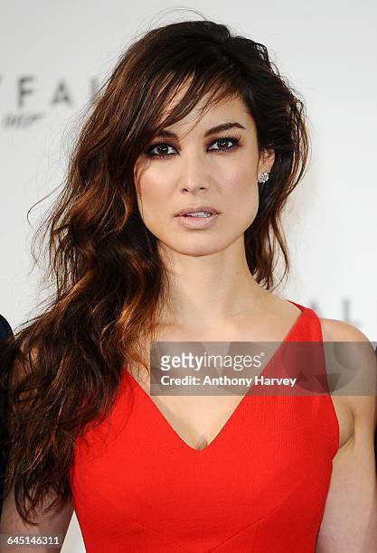 Berenice Marlohe attends the photocall for the 23rd James Bond film, Skyfall on November 3, 2011 at the Massimo Restaurant in London.