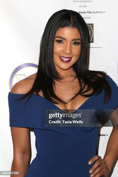 Sarodj Bertin attends the 2017 Pre-Oscar Gala for the American Black Film aInstitute at Preston's on February 24, 2017 in Hollywood, California.