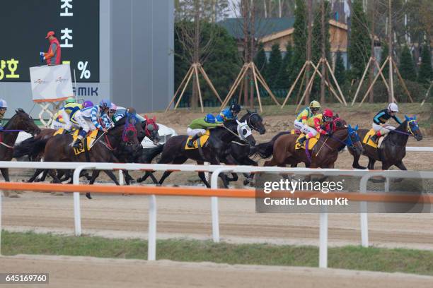Jockeys compete the Race 4 The 10th Macau Jockey Club Trophy at Seoul Racecourse on September 10, 2016 in Seoul, South Korea.