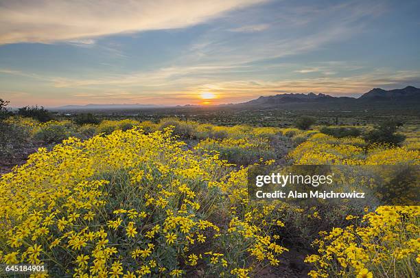 sonran desert sunset az - superstition mountains fotografías e imágenes de stock