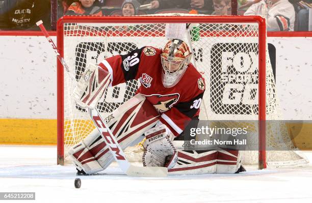 Marek Langhamer of the Arizona Coyotes gets ready to make a save against the Anaheim Ducks at Gila River Arena on February 20, 2017 in Glendale,...