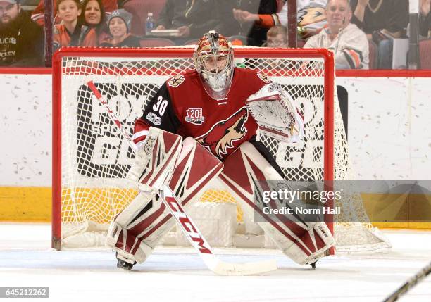 Marek Langhamer of the Arizona Coyotes gets ready to make a save against the Anaheim Ducks at Gila River Arena on February 20, 2017 in Glendale,...