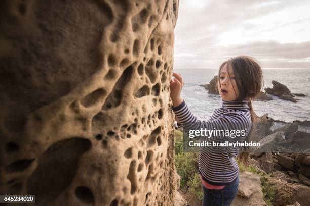 curious little girl inspecting rock formations on beach cliffs - newport beach california stock pictures, royalty-free photos & images