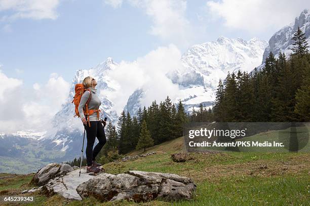 female hiker looks off to misty peaks, from meadow - oberteil stock-fotos und bilder